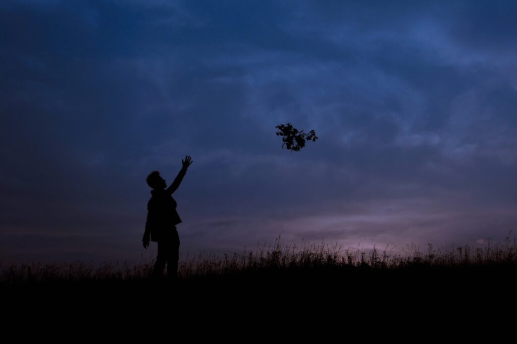 A man standing at sunset tossing leaves into the air.