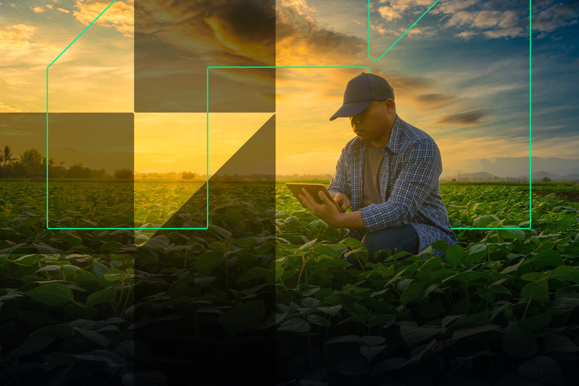 Connected Farming and the Future of Agriculture