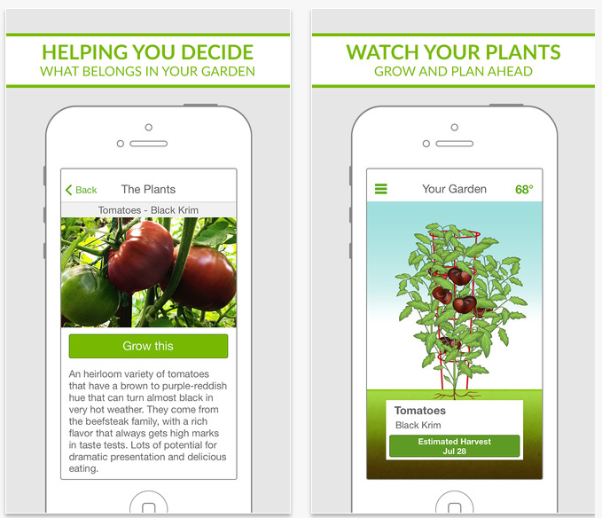 sprout it app