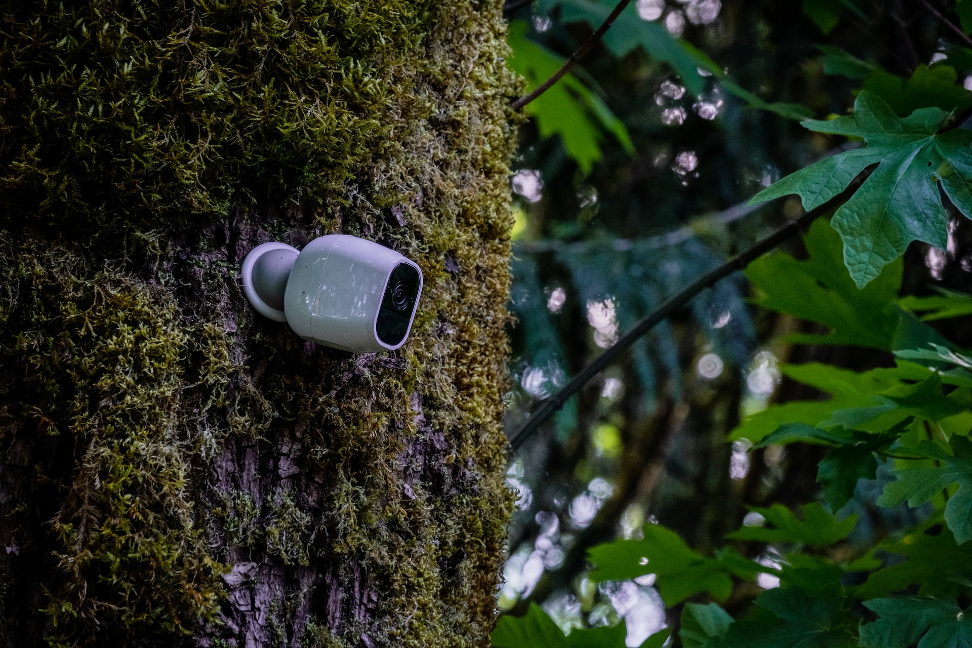 The Smartest and Best Security Cameras of 2022