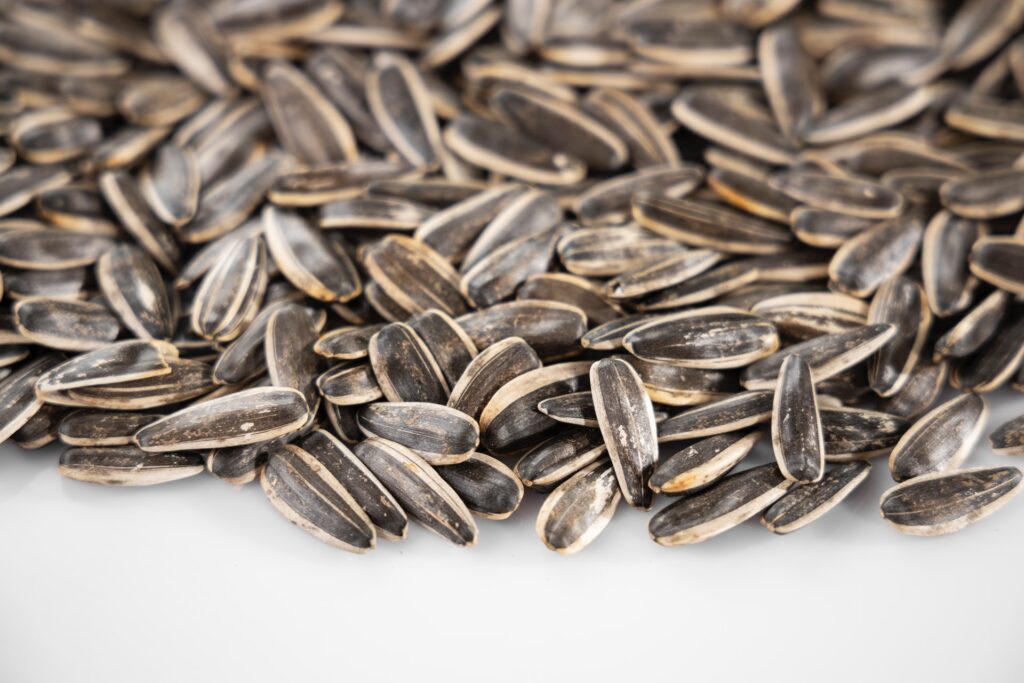 collection of sunflower seeds