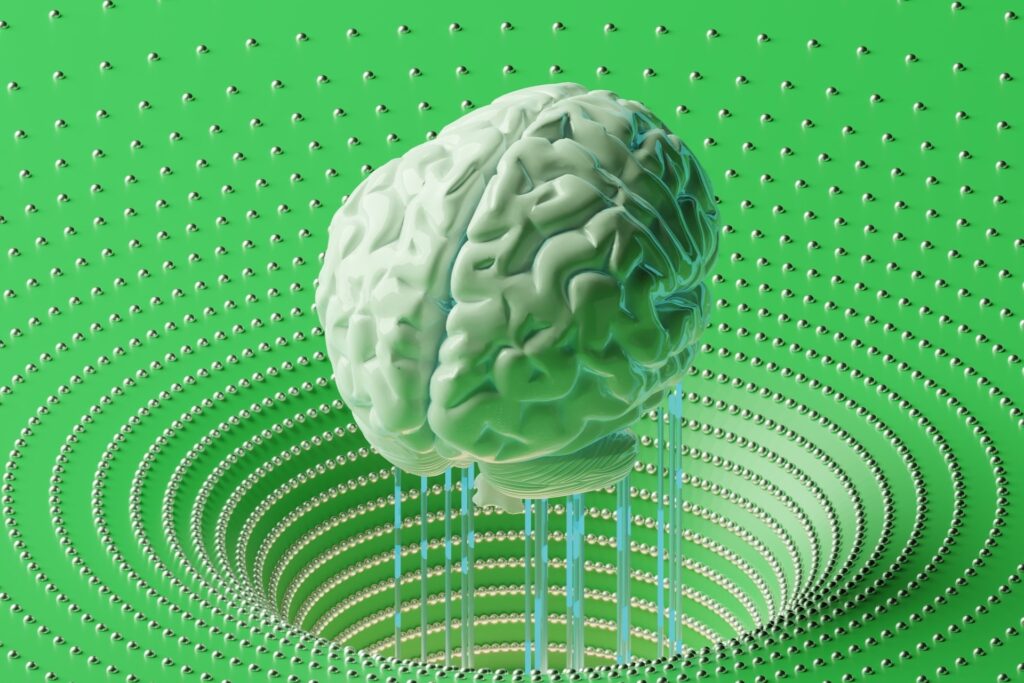 A three-dimensional brain.