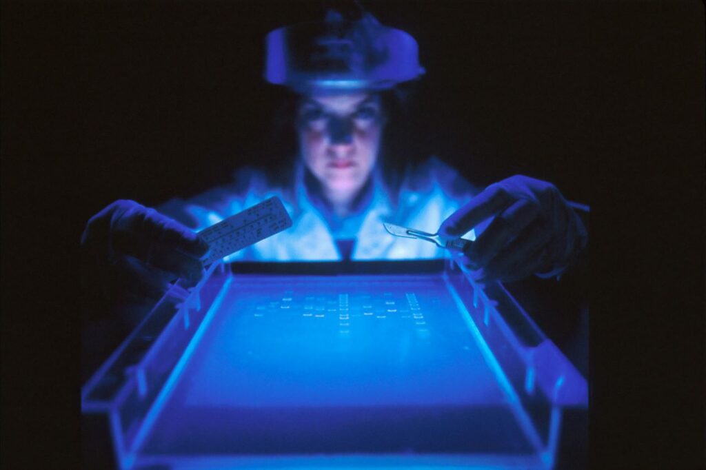 A woman works with DNA in a lab