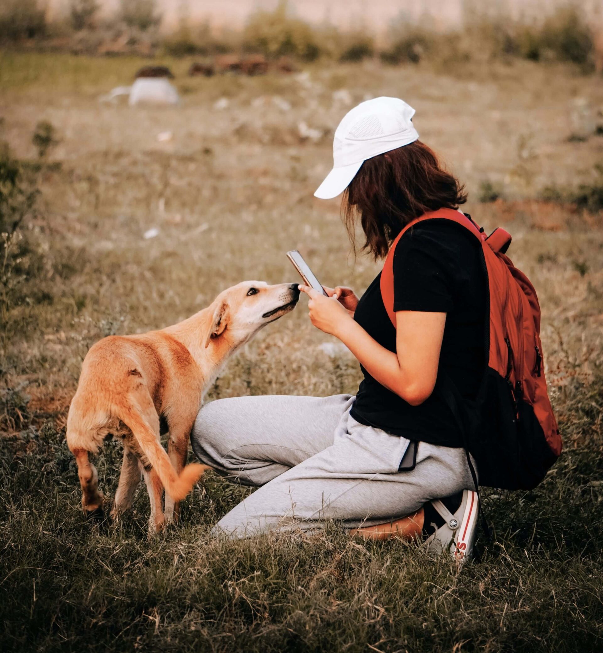 How ChatGPT Can Make Life Easier for Dog Parents