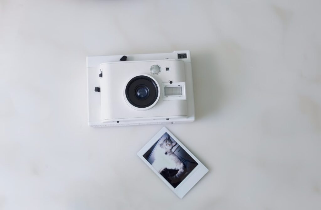 Instant camera with photo print of a cat