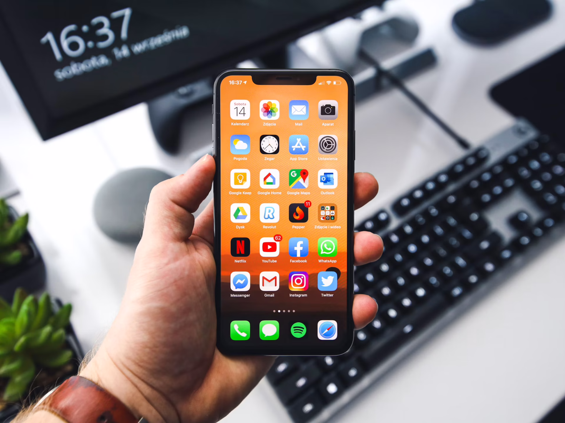 Person holding iPhone